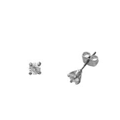 Envy Stylz Boutique Women - Accessories - Earrings Small Silver Stud Earrings